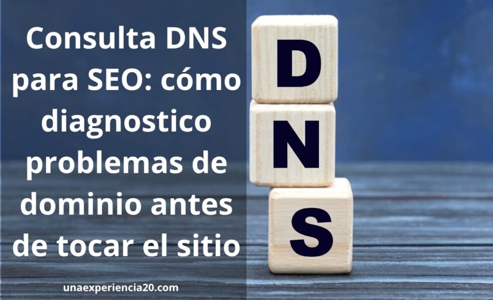 Consulta DNS para SEO